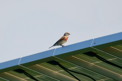 cambio climático, energías renovables, transición ecológica, AEMET, medio ambiente, sostenibilidad, sequía