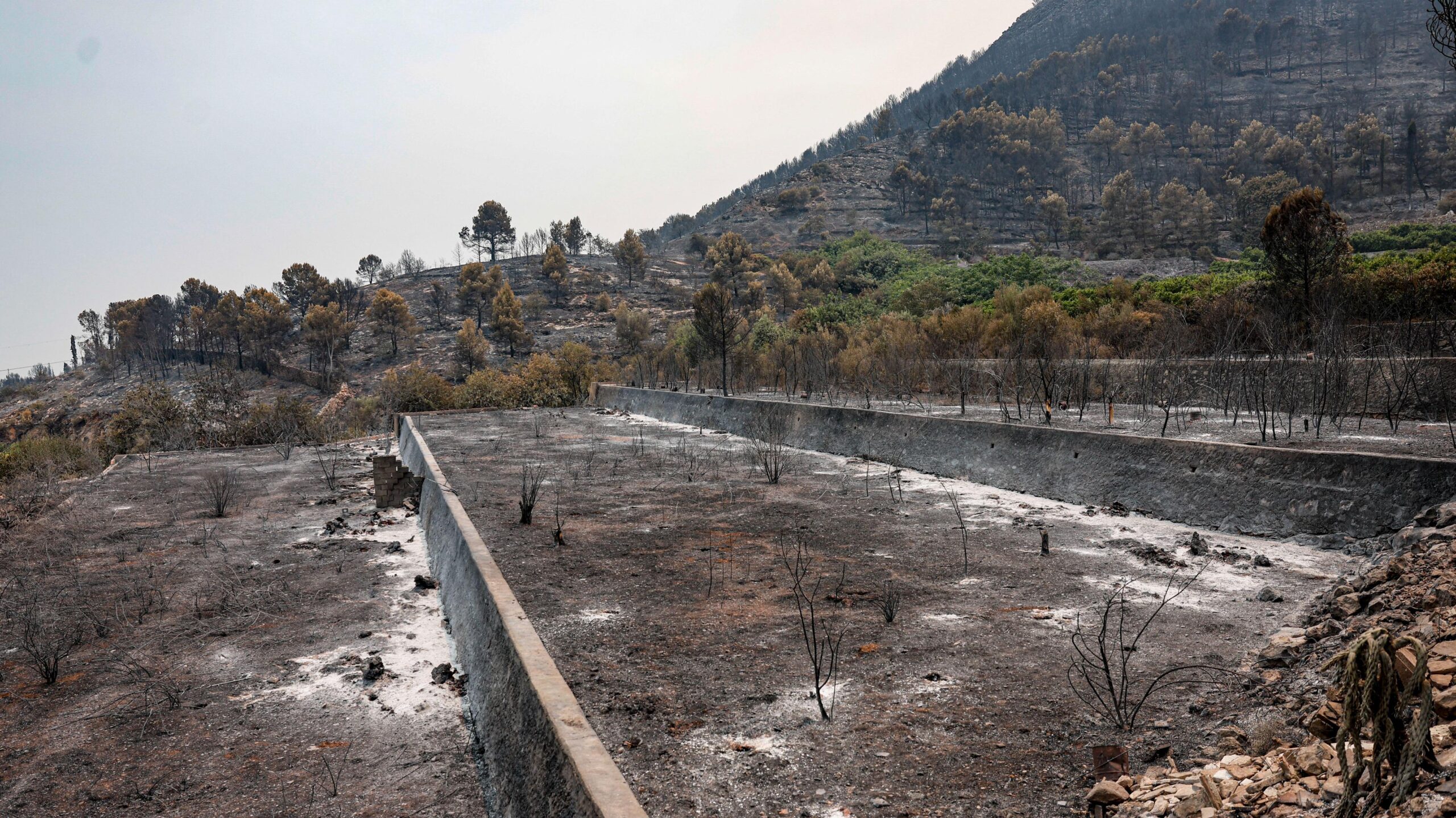 Incendis, 27 de juliol, Ola de calor