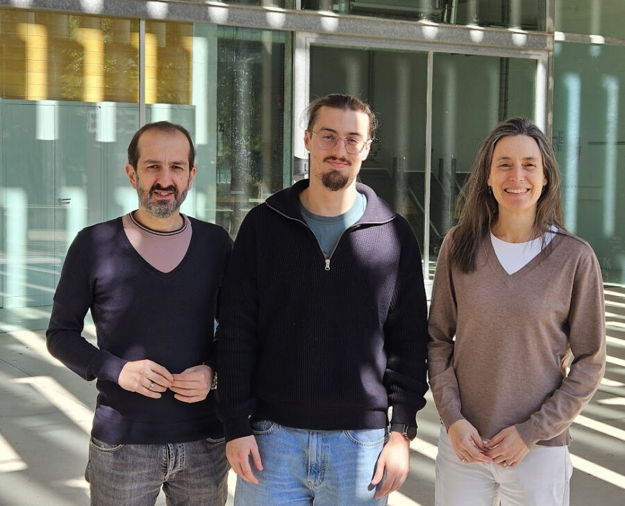 URV, CoCoGraph, Tarragona