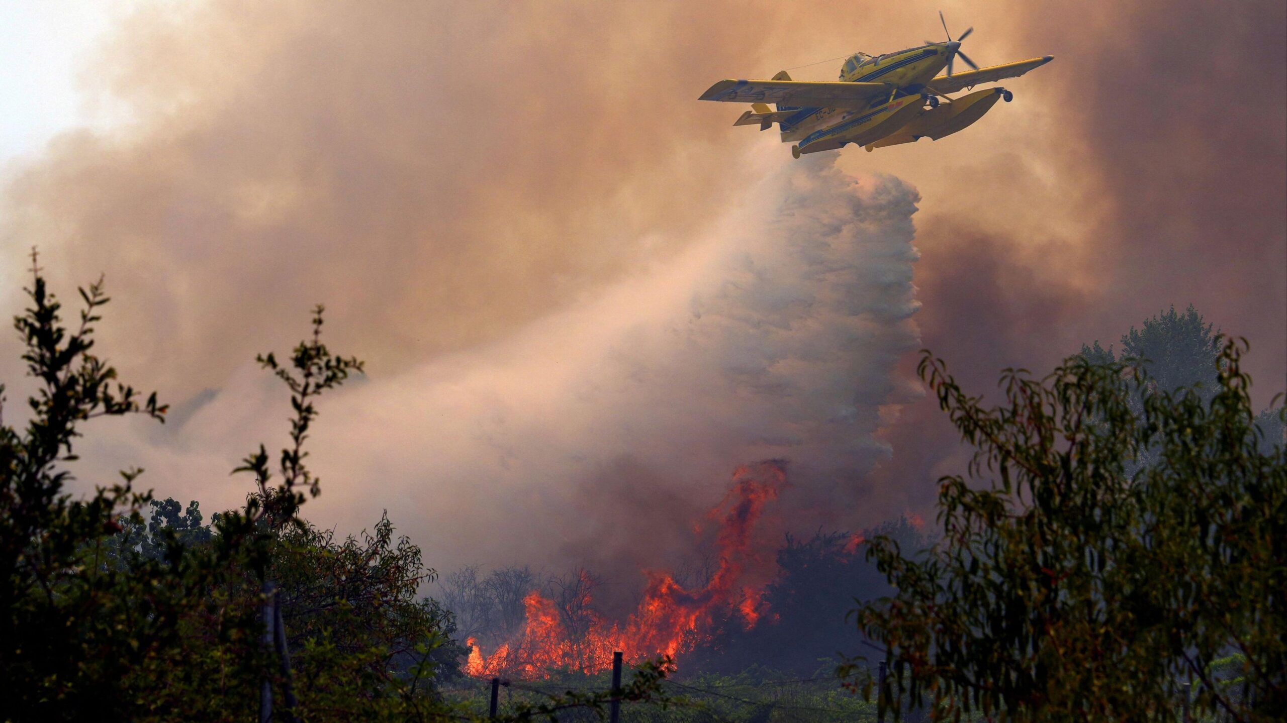 Incendis a Espanya: La Lluita Incessant Contra les Flames i la Crisi Ambiental