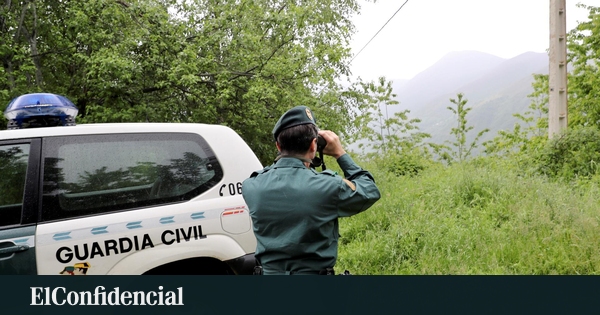 Què demana la Guardia Civil per a la captura d'un presunt leó a la sierra de San Vicente