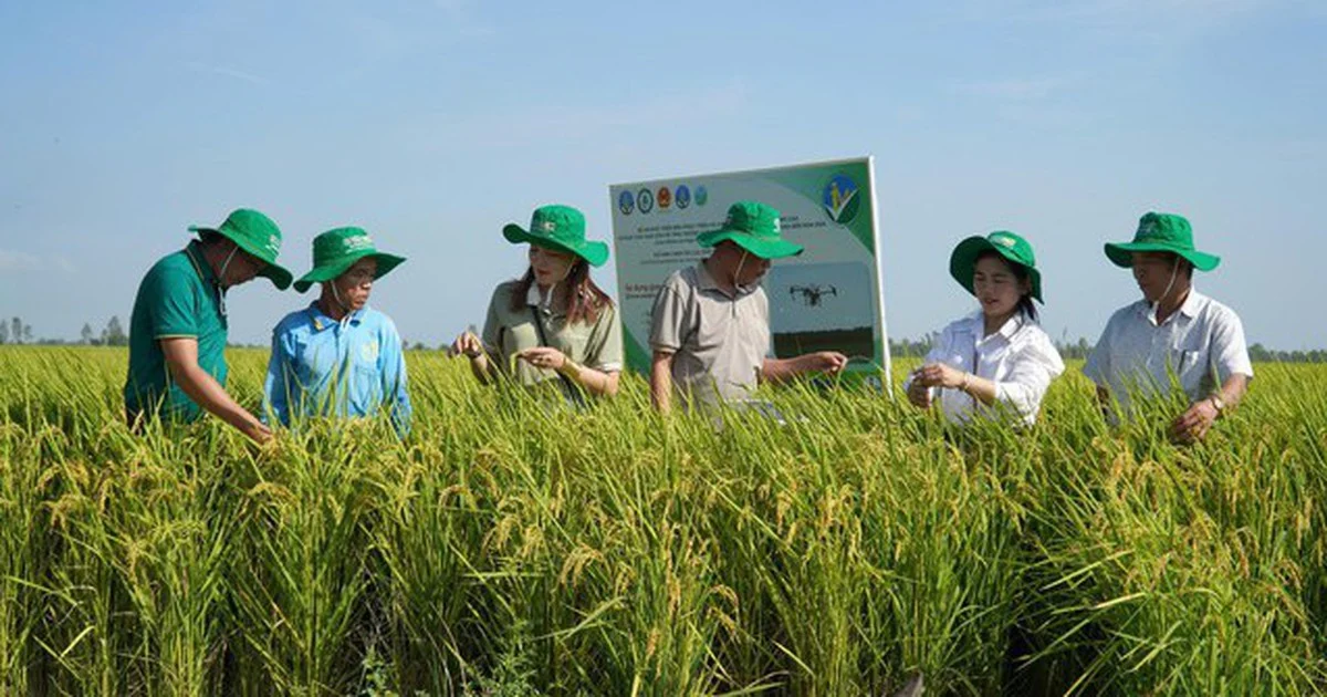 Transició ecològica i adaptació al canvi climàtic de les dones rurals: Parte 1 - Iniciatives proactives en explotacions agrícoles de baixes emissions